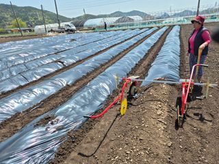 사천시향촌동 돼지띠님의 자유주제 · 자유게시판 작성글 사진