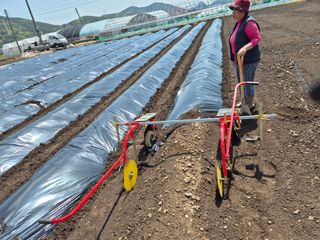 사천시향촌동 돼지띠님의 자유주제 · 자유게시판 작성글 사진