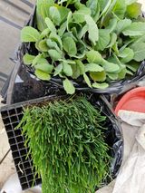 팜모닝 자유주제·자유게시판 게시글 이미지