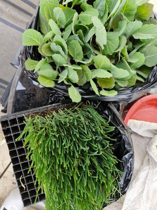 김태연님의 자유주제 · 자유게시판 작성글 사진