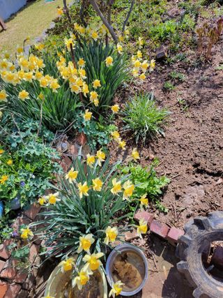 김종옥님의 자유주제 · 자유게시판 작성글 사진