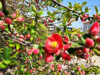 태일농산이정수님의 자유주제 · 자유게시판 작성글 사진