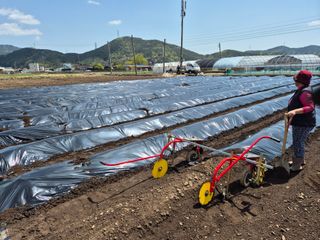 사천시향촌동 돼지띠님의 자유주제 · 자유게시판 작성글 사진