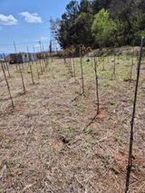 팜모닝 자유주제·자유게시판 게시글 이미지