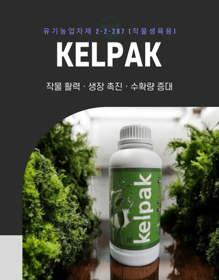 농업마켓365님의 작성글 사진