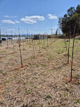 기중권님의 자유주제 · 자유게시판 작성글 사진
