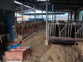 알 수 없음님의 자유주제 · 자유게시판 작성글 사진