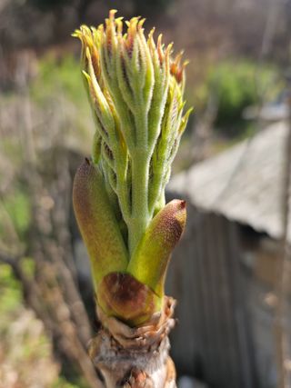 김제일주농장님의 자유주제 · 자유게시판 작성글 사진