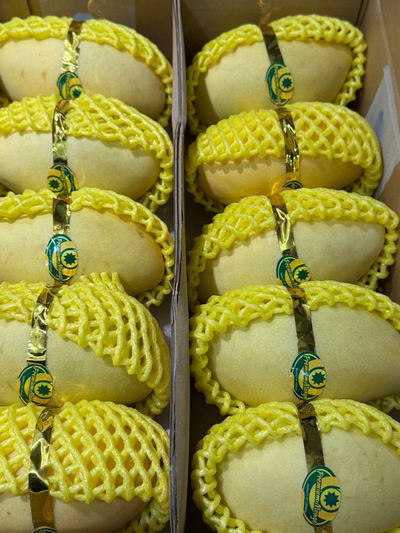 제주빅팜님의 장터 판매 상품 [너무 달고 맛있는 골드망고] 첨부 사진