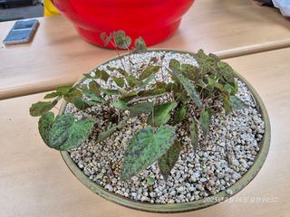 달맛햇복숭아농원님의 자유주제 · 자유게시판 작성글 사진