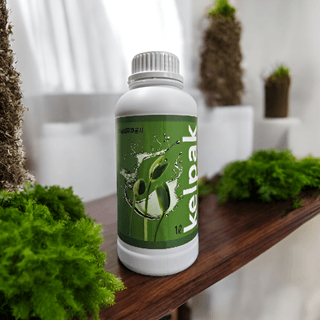 농업마켓365님의 작성글 사진