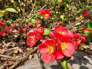 태일농산이정수님의 자유주제 · 자유게시판 작성글 사진