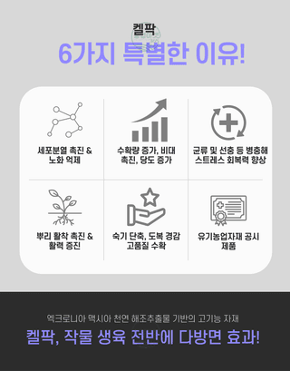 농업마켓365님의 작성글 사진