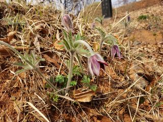태일농산이정수님의 자유주제 · 자유게시판 작성글 사진