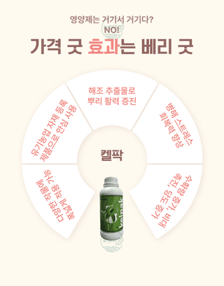 농업마켓365님의 작성글 사진