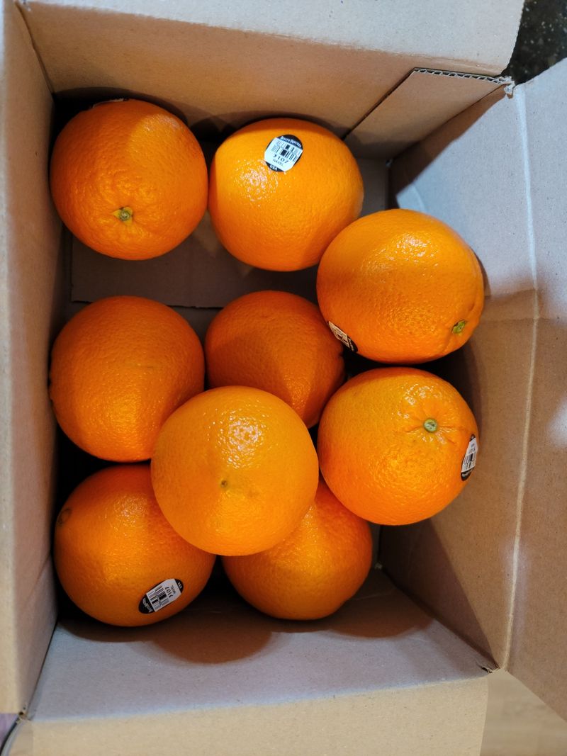 제주빅팜님의 장터 판매 상품 [달고 맛있는 블랙라벨 오렌지] 첨부 사진