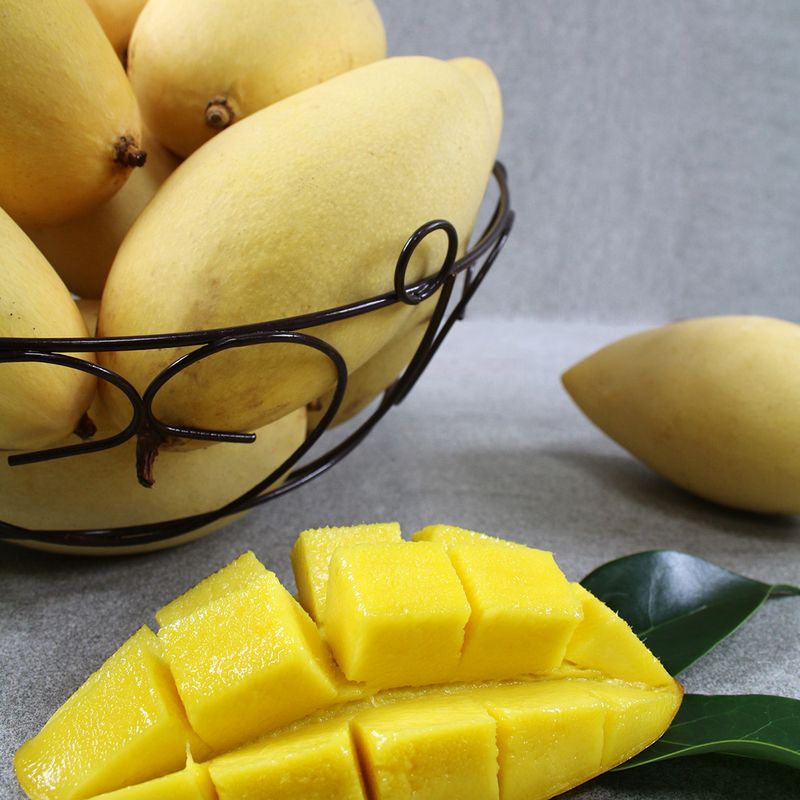 장터 상품 [너무 달고 맛있는 골드망고] 썸네일