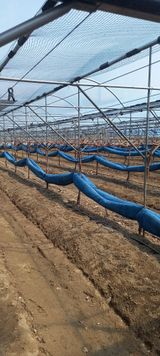 팜모닝 🌿농부님의 제초법은?·참여글 게시글 이미지