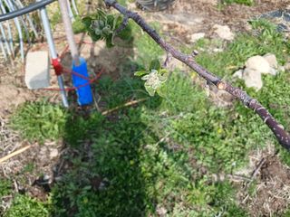 알 수 없음님의 자유주제 · 자유게시판 작성글 사진