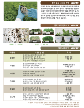 농업마켓365님의 작성글 사진