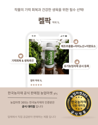 농업마켓365님의 작성글 사진