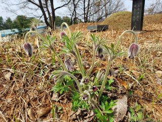 태일농산이정수님의 자유주제 · 자유게시판 작성글 사진