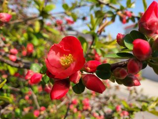 태일농산이정수님의 자유주제 · 자유게시판 작성글 사진