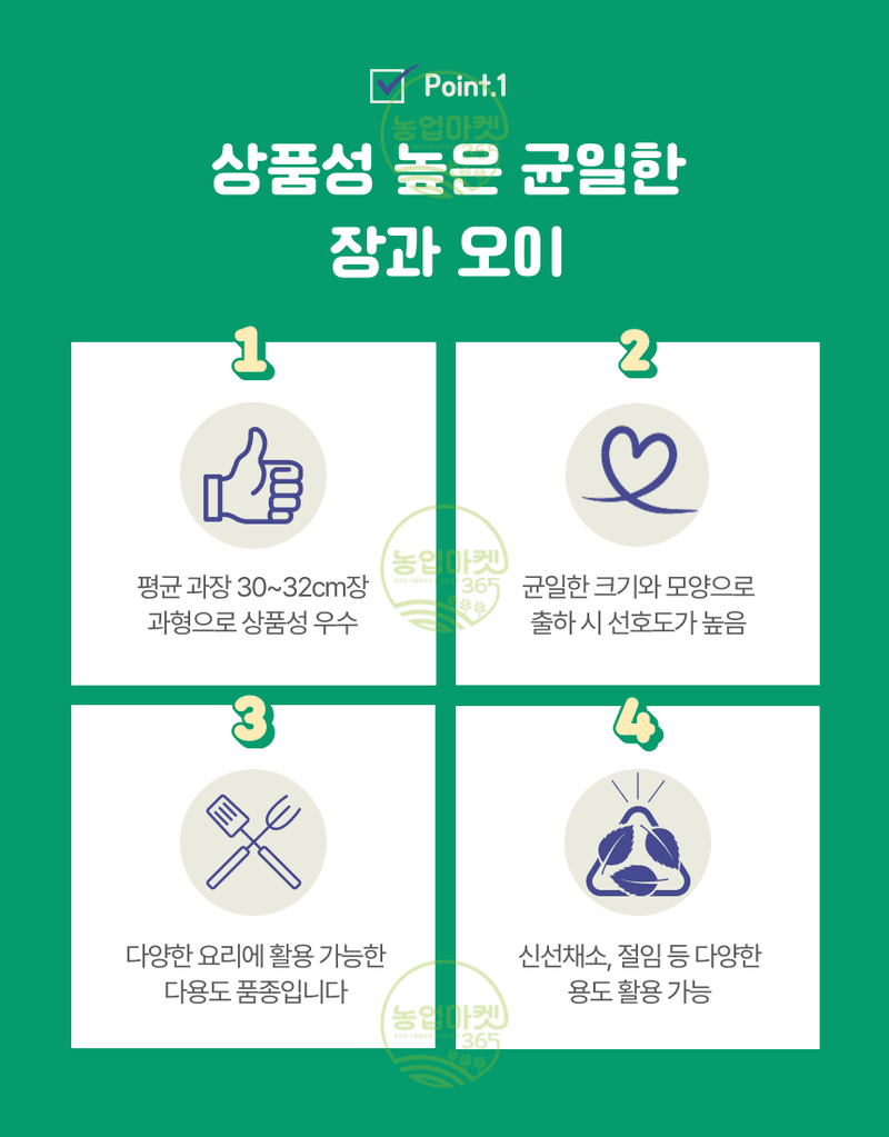 농업마켓365님의 장터 판매 상품 [농업마켓365 아시아종묘 오이 글로리삼척 50립 씨앗 종자 종묘 텃밭 주말농장 농사] 첨부 사진