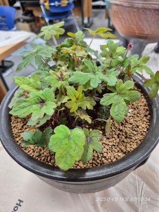 달맛햇복숭아농원님의 자유주제 · 자유게시판 작성글 사진