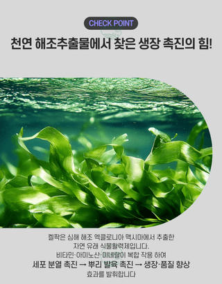 농업마켓365님의 작성글 사진