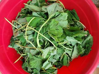 김응택님의 자유주제 · 자유게시판 작성글 사진