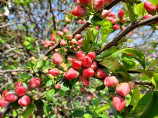 태일농산이정수님의 자유주제 · 자유게시판 작성글 사진