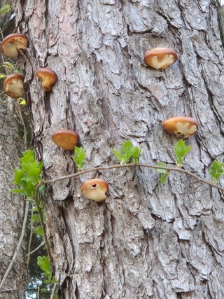 기중권님의 자유주제 · 자유게시판 작성글 사진