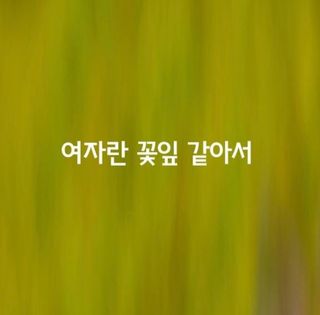 (팽나무*공주)님의 자유주제 · 자유게시판 작성글 사진