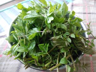 이현상님의 자유주제 · 자유게시판 작성글 사진