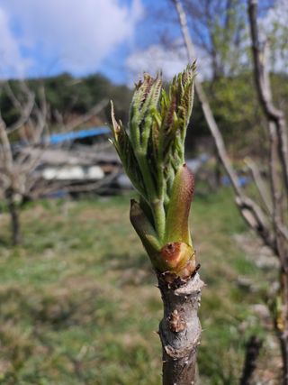 김제일주농장님의 자유주제 · 자유게시판 작성글 사진