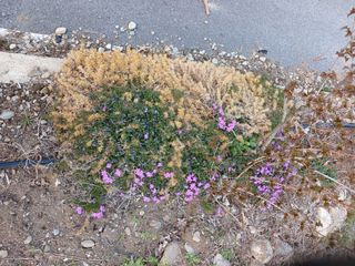 알 수 없음님의 자유주제 · 자유게시판 작성글 사진