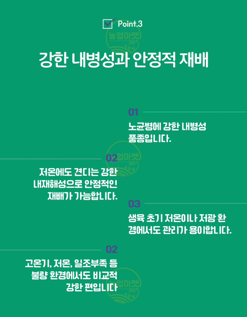 농업마켓365님의 장터 판매 상품 [농업마켓365 아시아종묘 오이 젤루존백침 30립 씨앗 종자 종묘 텃밭 주말농장 농사] 첨부 사진