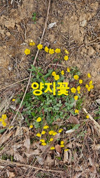 장철식님의 자유주제 · 자유게시판 작성글 사진