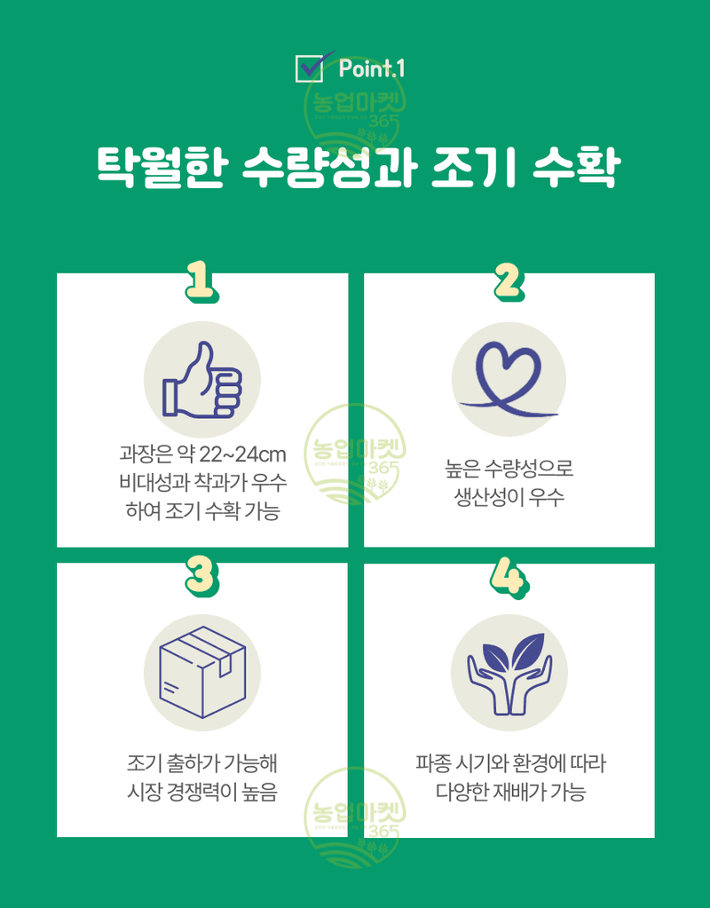 농업마켓365님의 장터 판매 상품 [농업마켓365 아시아종묘 오이 젤루존백침 30립 씨앗 종자 종묘 텃밭 주말농장 농사] 첨부 사진