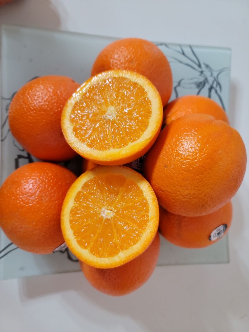 제주빅팜님의 장터 판매 상품 [달고 맛있는 블랙라벨 오렌지] 첨부 사진