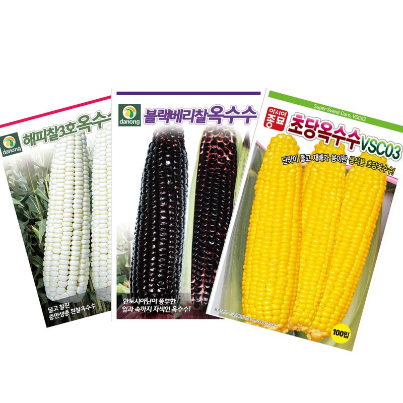장터 상품 [인기 옥수수종자 3종세트 - 블랙베리찰, 초당, 해피찰] 썸네일