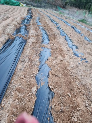 박병한님의 기타작물 · 자유게시판 작성글 사진