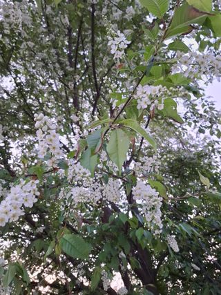 초보굴백이님의 농사, 무엇이든 물어보세요! · 참여글 작성글 사진