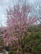 팜모닝 자유주제·사진전 게시글 이미지