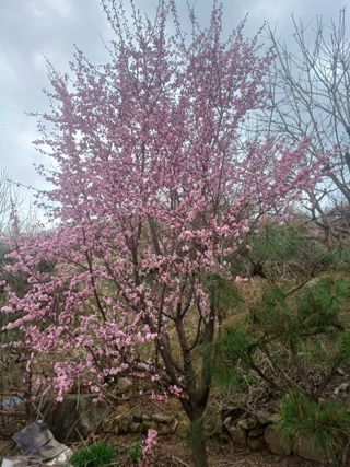 오영님의 자유주제 · 사진전 작성글 사진