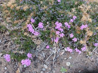 알 수 없음님의 자유주제 · 자유게시판 작성글 사진