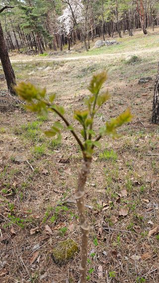 장철식님의 자유주제 · 자유게시판 작성글 사진