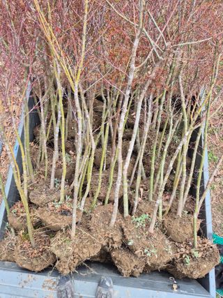 기중권님의 자유주제 · 자유게시판 작성글 사진