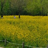 팜모닝 자유주제·자유게시판 게시글 이미지